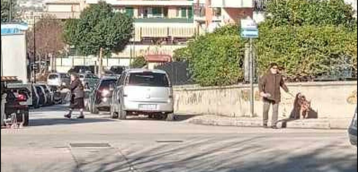 Cercola.  Altro consiglio comunale annullato, tra gli assenti  il vicepresidente Mario Paudice a passeggio con il cane, sostando l’auto in divieto