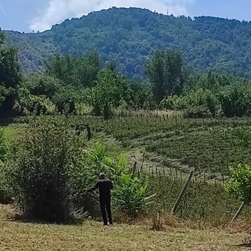 Arriva il “Giardino Vesuviano”, riqualificato lo spazio esterno alla “Casa del Parco Nazionale del Vesuvio”