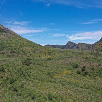 Parco Nazionale del Vesuvio. Dal 15 novembre una parte del sentiero ‘Valle dell’Inferno’ sarà interdetto alla pubblica fruizione