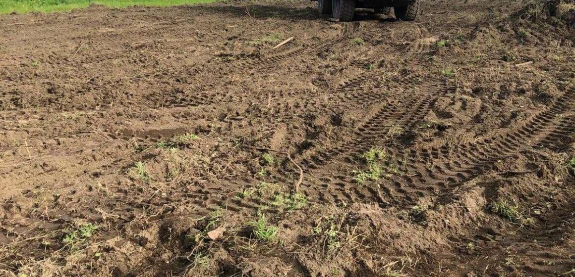 Pollena Trocchia. Ruspe al vigneto, agricoltore disperato: “Pronto a morire per il mio fondo”. Il sindaco Esposito: “Abbiamo investito la Prefettura”