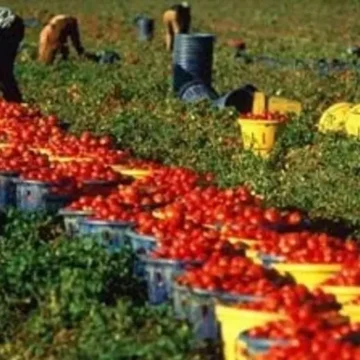 Stop al lavoro massacrante, divieto nelle ore più calde (dalle ore 12,30 alle 16), emanata ordinanza della Regione Campania