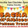 A Pollena Trocchia si celebra l’arrivo dell’estate con la Sagra dell’Albicocca. Una ‘duegiorni’ -sabato 21 e domenica 22 giugno –  in Piazza Amodio con la regina dei frutti vesuviani: musica, degustazione prodotti tipici e beneficenza
