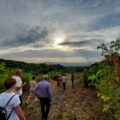 Pollena Trocchia. Torna “Natura in festa”. Appuntamento domenica 13 luglio con la III edizione