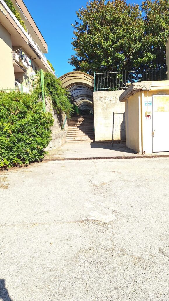 San Sebastiano al Vesuvio. Sfalciate aere verdi dei giardini scolastici, Panico: “Grazie ai tirocinanti Gol e i giardinieri rientro agevole nelle aule per i nostri studenti”