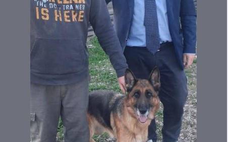 bella panico e de stefano San Sebastiano al Vesuvio. Pastore tedesco ‘Bella’ è al ‘Campo di Billy’, fu maltrattata da un balordo. Il sindaco Panico: “Bella sta meglio, dimessa dalla clinica veterinaria. Ora riportiamola alla socialità”