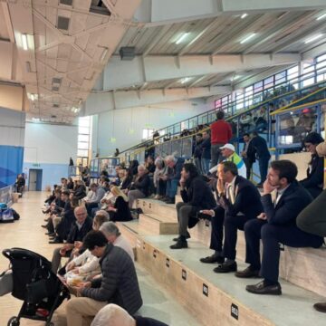 sparuto pubblico a cercola per fico palasport Cercola ha ‘snobbato’ Roberto Fico. Assente anche il M5S locale. Poche decine di persone sugli spalti al Palazzetto dello Sport per il grillino candidato Presidente della Regione del Campo Largo. Cirielli in rimonta anche sotto al Vulcano