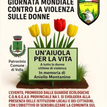 volla 25 novembre Volla. “Un’aiuola per la vita”, iniziativa CO.N.G.E.A.V. Provinciale NA1 per il 25 novembre. Sarà inaugurata una targa ad Aniello Montanino, giovane guardia ecologica da poco scomparsa