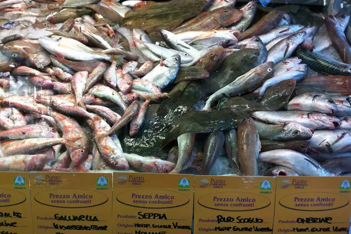 opesce ansa Capodanno in Campania, 131 euro a famiglia per il cenone. Ecco le stime di Coldiretti e Ixè