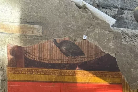 Villa di Poppea, emergono nuovi affreschi nel salone della Maschera e del Pavone