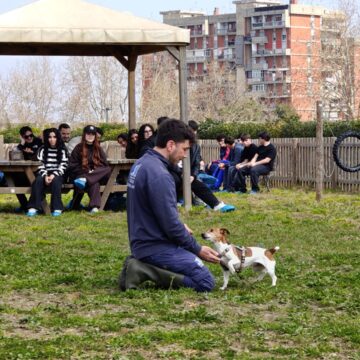 collina di argo cane strillo Napoli. Educare al rispetto degli animali, incontri con le scuole presso “La Collina di Argo”. Il progetto realizzato dal Comune e dall’Asl